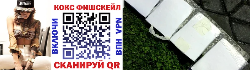 Купить где  Пустошка  COCAIN Fish Scale 