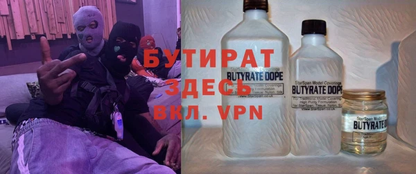 ПСИЛОЦИБИНОВЫЕ ГРИБЫ Инсар