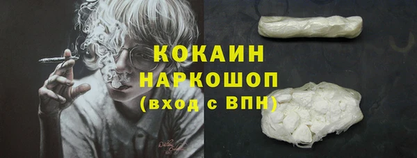 молекула духа Инта