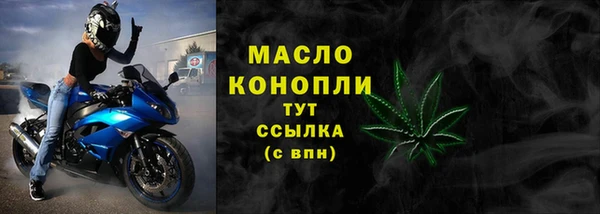 молекула духа Инта