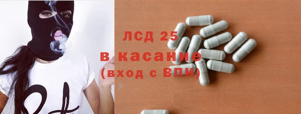 ПСИЛОЦИБИНОВЫЕ ГРИБЫ Инсар