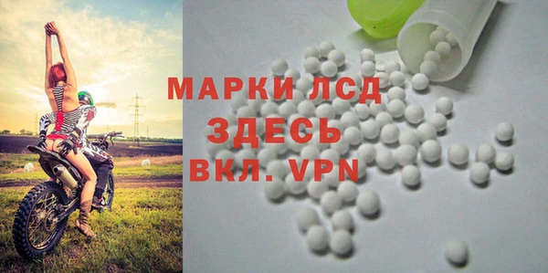 ПСИЛОЦИБИНОВЫЕ ГРИБЫ Инсар