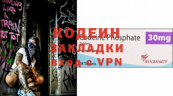 ПСИЛОЦИБИНОВЫЕ ГРИБЫ Инсар