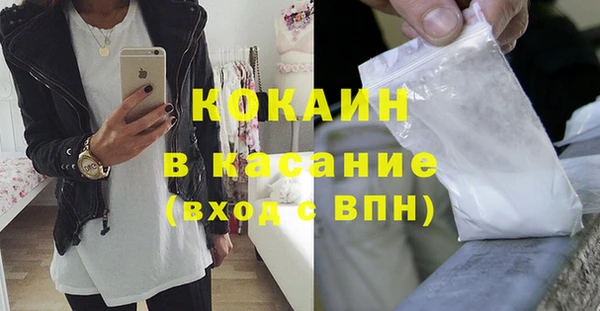 ПСИЛОЦИБИНОВЫЕ ГРИБЫ Инсар